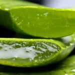 Aloe vera blad med gel