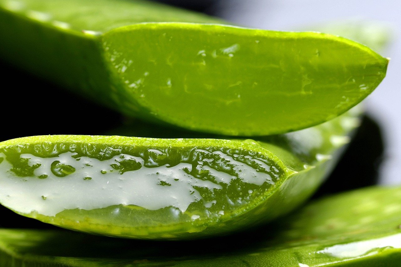 Aloe vera blad med gel